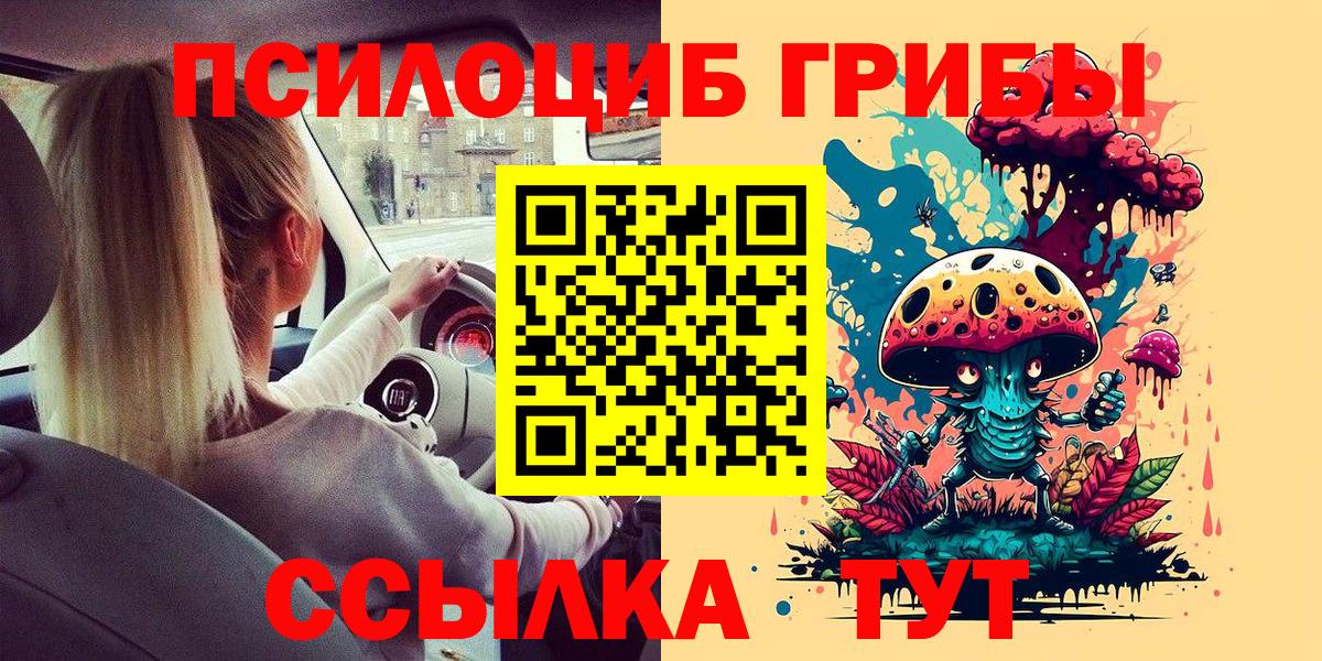 Псилоцибиновые грибы GOLDEN TEACHER Павловский Посад